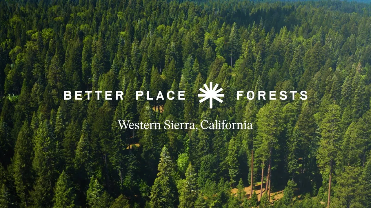Still from Better Place Forests — Western Sierra